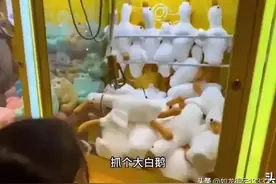 要警惕少数俄粉演变成为激进分子！图片