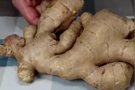 生姜用醋泡着吃，可别小瞧它了，想不到这么厉害，酸辣又开胃图片