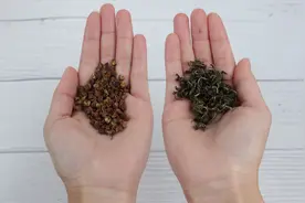 才发现，茶叶和花椒一起用这么神奇，邻居见了都夸好，太实用了图片
