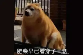 床垫哪里买最便宜？网上买还是店里买？图片