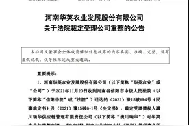 河南华英农业破产重组，“养鸭第一股”能否浴火重生？图片