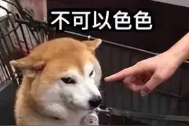胸大微胖穿衣服又土又low？呸！这么穿巨巨巨洋气显瘦图片