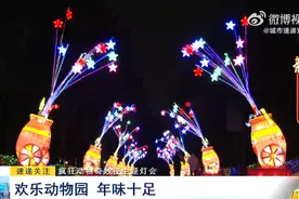 疯狂动物奇妙夜主题灯会：欢乐动物园 年味十足图片