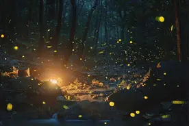 世界上最古老的生物 - 萤火虫图片