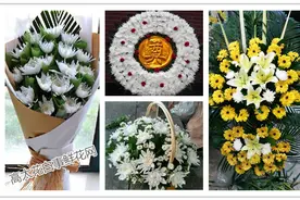 悼念鲜花：用什么样的鲜花悼念缘分比海深的亲友故人图片