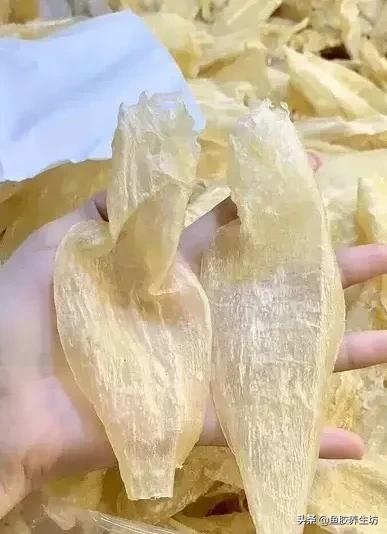 越南巴沙鱼胶好吗 2026年越南巴沙鱼的功效与作用