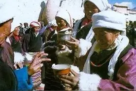 西藏民俗生活习俗一一青稞酒图片