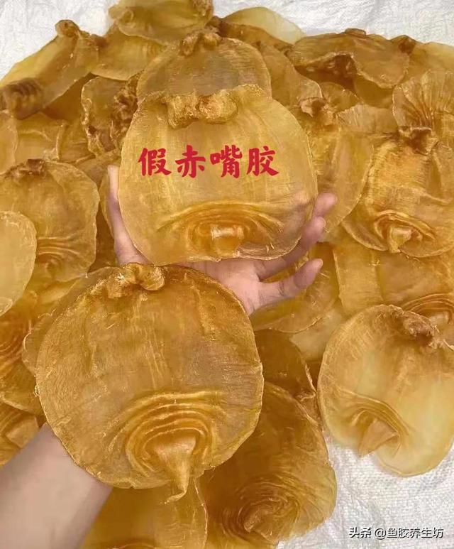 黑鳘鱼胶图片 2026年黑鳘鱼胶是什么品种