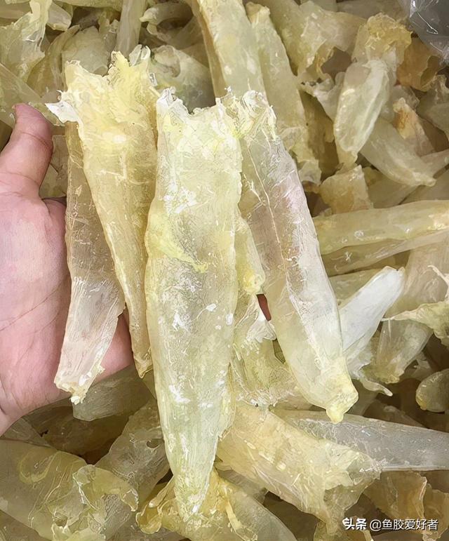 猪皮假花胶 2026年猪皮花胶的制作方法
