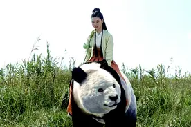 《雪中》9大异兽：吕祖的迈巴鹤活了500年，黑虎被徐龙象当皮球扔图片