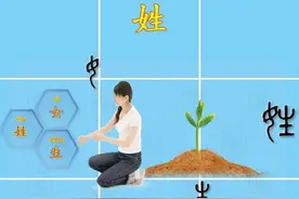 “姓”“氏”“名”“字”的区别，“待字闺中”的“字”义是什么图片