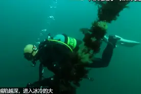 妻子被海啸卷走后，他57岁学潜水苦寻10年，只为带她回家图片