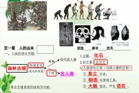 七年级生物知识点、考点图文梳理，这样复习只要3天就能搞定生物图片