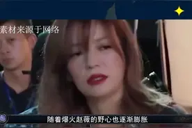 赵薇的颠覆之路图片