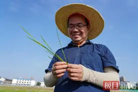 每年200多天泡在田地里，研究“不怕冷的水稻”！“80后”科学家为中国粮装上“中国芯”图片