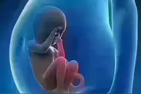 我们一生都在打拼寻找一个属于自己的家图片