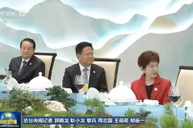 中方举办国宴欢迎各国贵宾洪秀柱被安排在主桌迎客与港澳特首同席图片