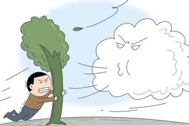 明天，贵阳贵安将出现较大范围大风天气！图片