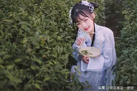 离异女性恋爱选择：是跟随心动的新对象？还是回到熟悉的旧伴侣？图片