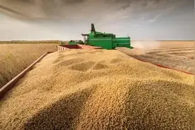 全球粮食自给率排名第一的法国，在种猪育种领域给我们什么启发？图片