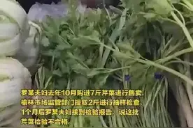 当官不为民做主，不如回家卖红薯图片