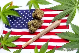 拜登：我给你大麻，你给我选票图片
