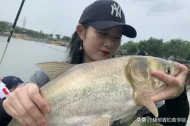 钓鲢鳙的5大要点，每一点都非常有用，钓好鲢鳙的关键技巧图片