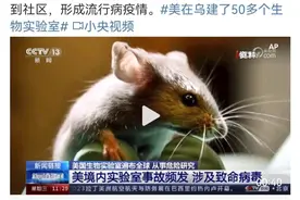 美国生物实验室感染病毒的小白鼠“逃跑”。全是“逃”的吗？图片