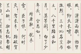 同样是文武双全：岳飞是武将中的文人；辛弃疾却是文人中的武将图片