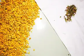 灵魂是什么图片