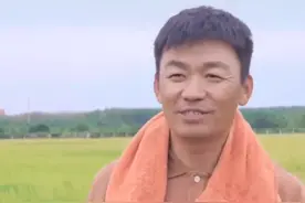 王宝强割水稻，动作娴熟，不愧是农民的儿子图片