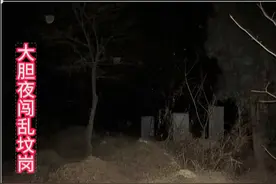 大胆夜闯乱坟岗图片