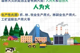 森林防火，重在预防！这些知识请掌握！图片