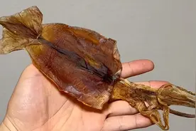 鱿鱼都比你能卷！日本小伙把它烤成了最有文化的样子图片