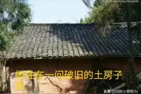 农村精神病患者不堪的生活有多苦！你想象不到！图片