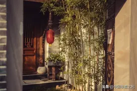 院子，才是最大的奢侈图片