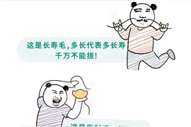 为什么身上的特殊部位，会长出一两根特别长的毛？图片
