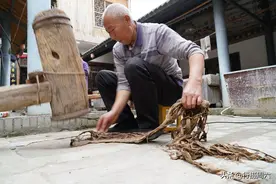 陕西6旬老人用枸树皮造纸，1刀纸卖1200元，看他怎么做图片