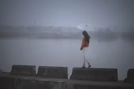 ​清明：不忘来时路，不负今朝景，不悲明日事图片