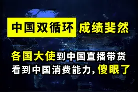 中国双循环战绩斐然：各国驻华大使直播带货，傻眼于中国消费能力图片