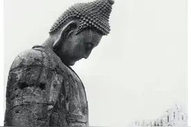 圣人之恶图片