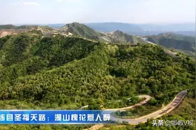 涉县圣福天路：漫山槐花惹人醉图片