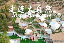 山河远阔，唯念夏庄！樱桃树下露营地爆款打卡来袭图片