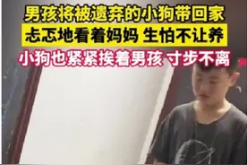 男孩将被遗弃的小狗带回家，忐忑地看着妈妈生怕不让养，小狗也紧紧挨着男孩寸步不离图片