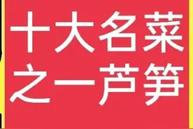 名菜芦笋，有什么特点，种植前景如何？一文全说清图片