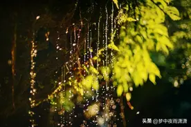 曾经最爱的人，白羊座图片