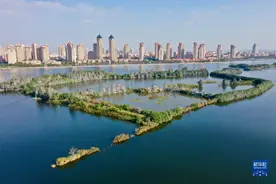 厦门经济特区40周年——俯瞰厦门 四十如画图片