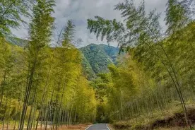 泾县茂林千年古镇图片