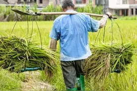 专家说：农民工平均工资在8000以上是没错的，他们叫做农民技术工图片