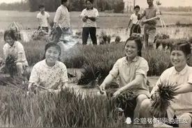 农业“单干”好不好？图片